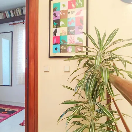 Cosy Flat In Pretty Seaside Town Apartment *